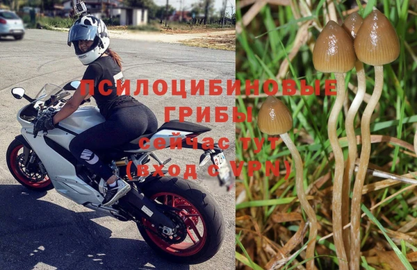 метадон Арсеньев