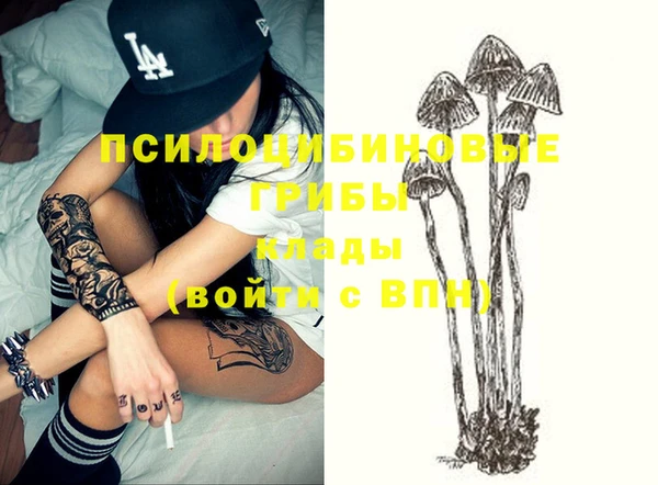 крисы Алзамай