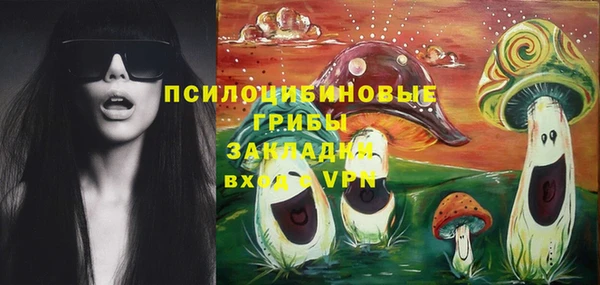 метадон Арсеньев