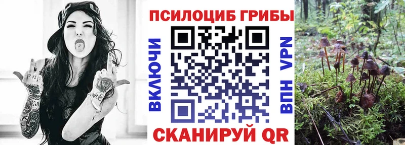 darknet состав  Березники  Псилоцибиновые грибы мицелий  как найти  